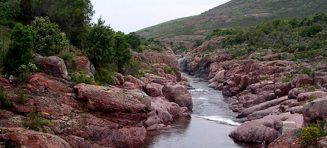 Corsica_Ev