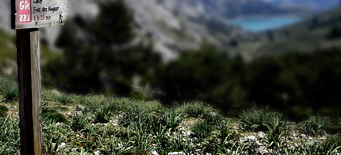 Ruta-de-Pedra_Ev